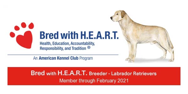 Bred with HEART Breeder Member