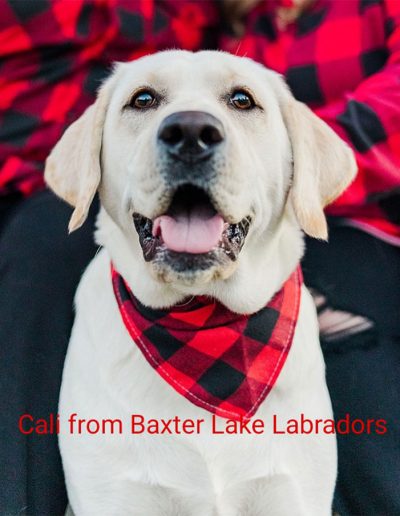 Cali from Baxter Lake Labs