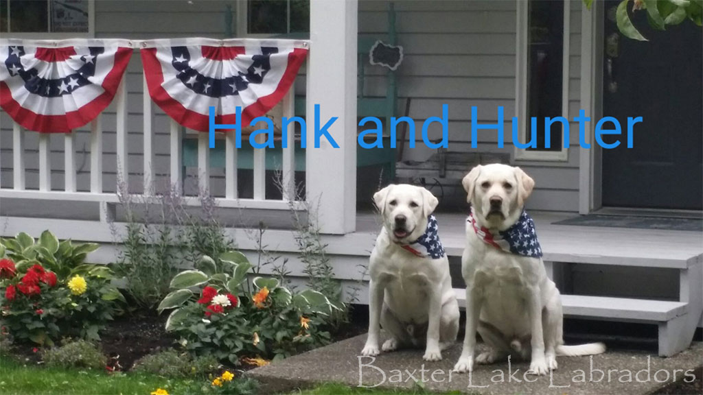 Hunter & Hank