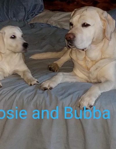 Rose & Bubba Buddies